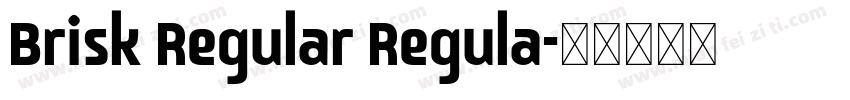 Brisk Regular Regula字体转换
